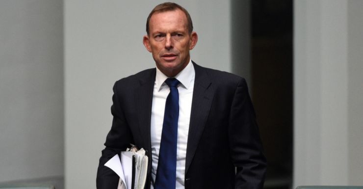 Federal Election 2016 The Tony Abbott Dilemma Backbench Or Back